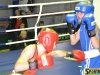 141023-box-ukr-chernivtsi-sportbuk-com-19