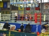 141023-box-ukr-chernivtsi-sportbuk-com-2