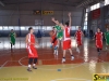 141102-basket-obl-dusc-sportbuk-com-10