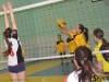 141129-voley-liga-w-5-cnu-kitsmankytseliv-sportbuk-com-37