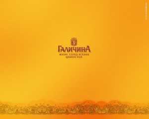 7_photo_205x154_Galychyna_logo-copy