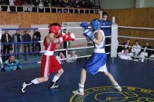 2010-MelenukOldr-Ukr