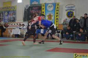 140301-pankration-obl-sportbuk.com (9)