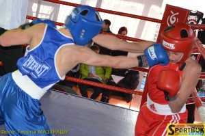 141025-box-Ukr-Chernivtsi-sportbuk.com (26)