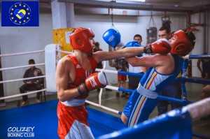 141230-box-Kolizey-Moldova (5)