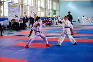 2015-Illichivsjk-karate-5
