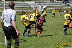 1-150531-Shkir-myach-Chernivtsu-zona-Ukr-Doroshivtsi-sportbuk.com (81)-Siljtse-Zakarpattya