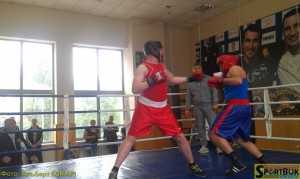 150517-box-Kolomyja-Kom-sportbuk.com (17)