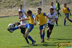 1-150531-Shkir-myach-Chernivtsu-zona-Ukr-Doroshivtsi-sportbuk.com (2)-Frankivsk