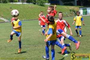 150531-Shkir-myach-Chernivtsu-zona-Ukr-2-Frankivsjk-Vinnytsya-sportbuk.com (38)