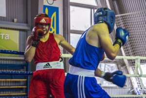 151122-box-Chorna-sotnya-K-sportbuk.com (2)