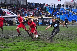 161109-veres-bukovyna