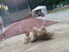 100714-kubuk-dovzhyna-w-20