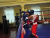 100912-box-obl-molod-igry-sportbuk-com-48