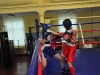 100912-box-obl-molod-igry-sportbuk-com-49