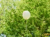 140913-yarmarok-zdorovya-g-sportbuk-com-15