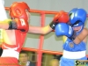 141023-box-ukr-chernivtsi-sportbuk-com-37