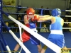 141023-box-ukr-chernivtsi-2-sportbuk-com-101