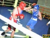 141023-box-ukr-chernivtsi-2-sportbuk-com-103