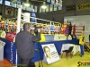141023-box-ukr-chernivtsi-2-sportbuk-com-41