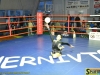 141023-box-ukr-chernivtsi-2-sportbuk-com-83