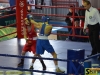 141025-box-ukr-chernivtsi-sportbuk-com-3
