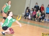 141111-voley-zhinky-liga-pedkoledz-odusc-3-sportbuk-com-51