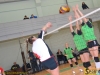 141207-voley-liga-zhinky-2-odusc-2-cnu-sportbuk-com-2